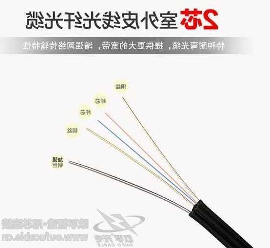 欧孚光缆厂家2芯室外皮线光纤光缆